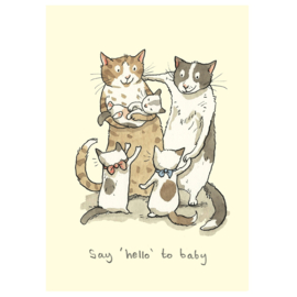 Say hello to the baby - Anita Jeram