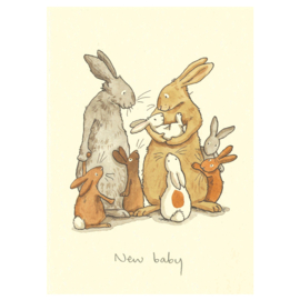 New baby - Anita Jeram