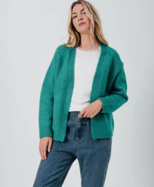 C'est beau la vie - vest Lucy groen
