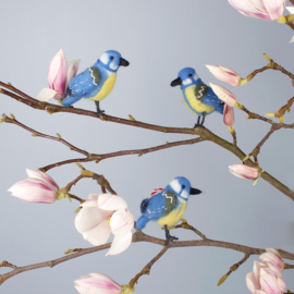 Sjaal met Verhaal Vogel - Pimpelmeesje