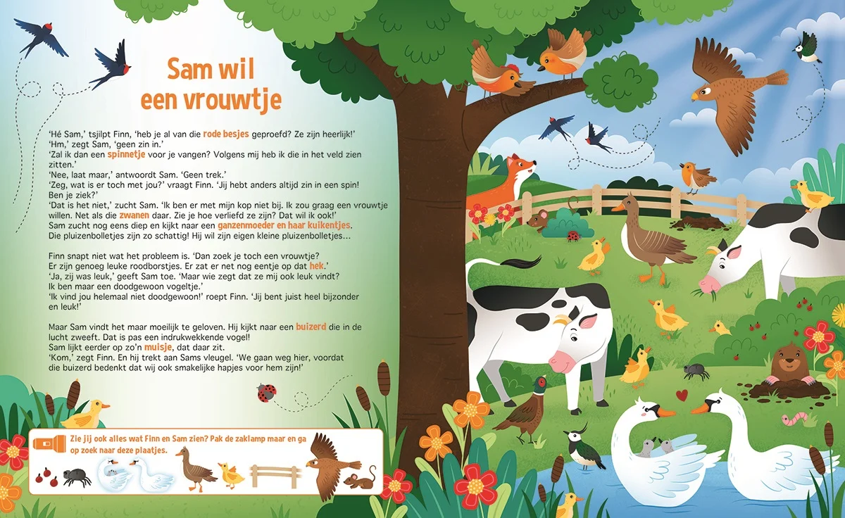 Zaklantaarnboek : Speuren naar vogels