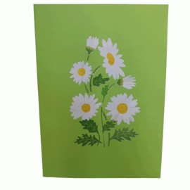 Pop-up kaart Margrietjes