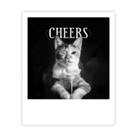 Cheers cat card