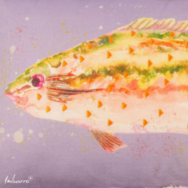 Imbarro - Viskussen Glow