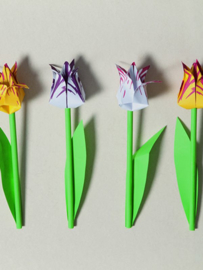 Vouw Tulpen - Piet Design