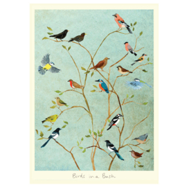 Birds in a bush - Anna Shuttlewood