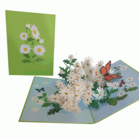 Pop-up kaart Margrietjes