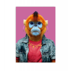 Zoo portraits - Coole aap kaart
