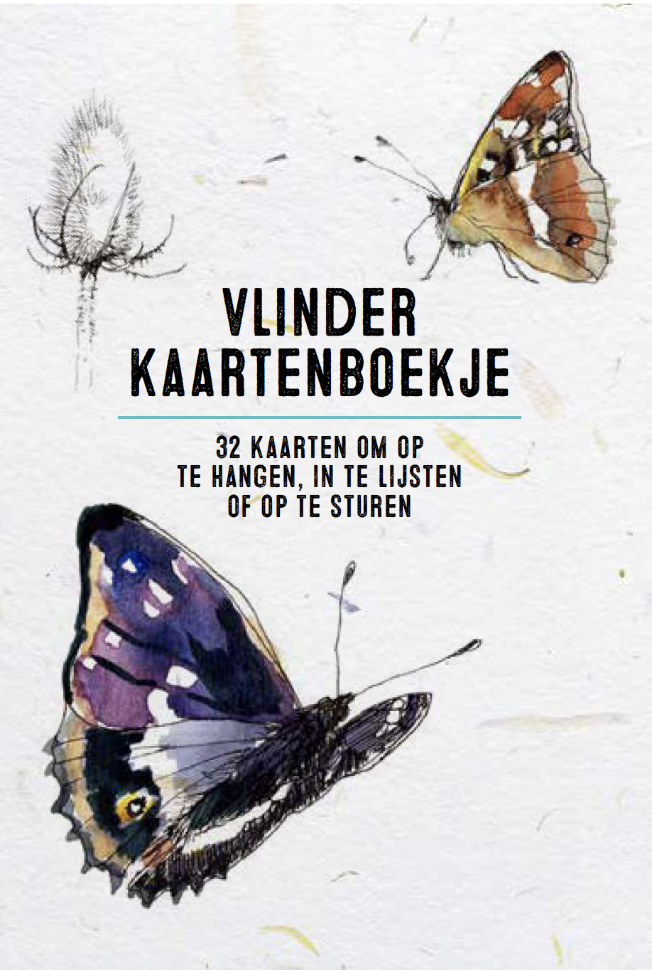 Vlinder kaartenboekje
