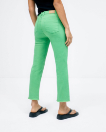 Surkana - Broek Straight denim jeans green