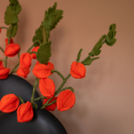 Sjaal met Verhaal - Tak Physalis lampion