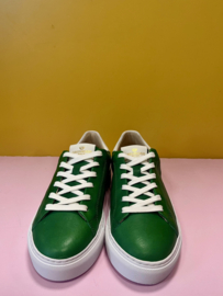 Greenwood sneaker green