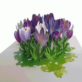 Pop-up kaarten