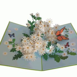 Pop-up kaart Margrietjes