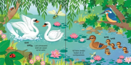 Geluidenboek - Vogels