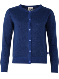 Danefae- DaneSaga glittervest deepblue