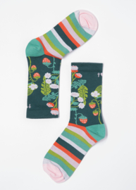Blutsgeschwister - Sensational steps Summer meadow