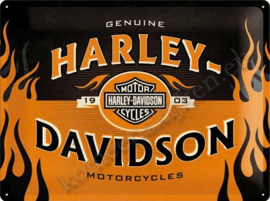 metalen wandplaat harley davidson flames 30-40 cm