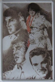metalen wandbord Elvis Presley collage 20x30 cm