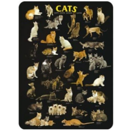 metalen wandbord cats / katten collage 30 x 40 cm
