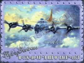 wandplaat B-17 Flying fortress 30-40 cm