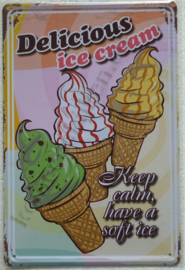 metalen reclamebord delicious ice cream 20-30 cm