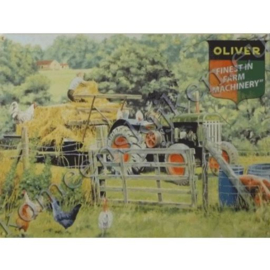 wandplaat oliver 30-40 cm