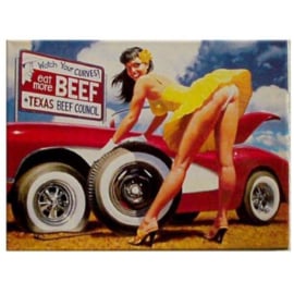 metalen wandplaat pin up auto beef 20-30 cm
