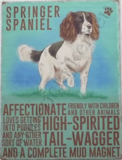 metalen wandplaat springer spaniel 30-40 cm