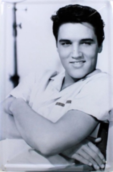 metalen wandbord elvis presley 20x30 cm