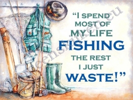 wandplaat fishing / just waste 30-40 cm