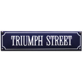 emaille straatnaambord triumph street