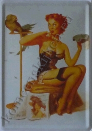 metalen ansichtkaart pin up / papegaai 10-14 cm