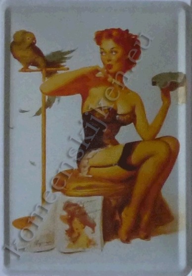 metalen ansichtkaart pin up / papegaai 10-14 cm