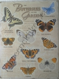metalen wandbord butterflies 30-40 cm