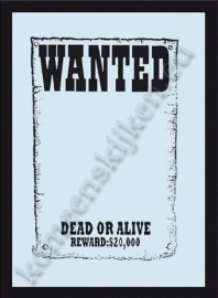 magneet spiegel wanted, dead or alive