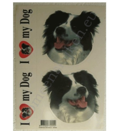 hondenstickerset border collie