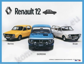 metalen reclamebord renault 12 20-30 cm