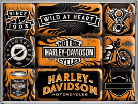 magneetset Harley Davidson wild at heart