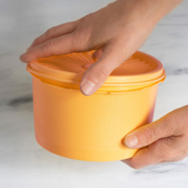 Tupperware - Kleine Zonnedekschalen UITVERKOCHT