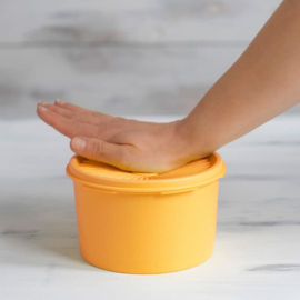 Tupperware - Kleine Zonnedekschalen UITVERKOCHT