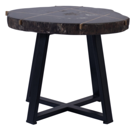 Tay Petrified wood black coffeetable metal low