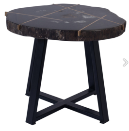 Tay Petrified wood black coffeetable metal low