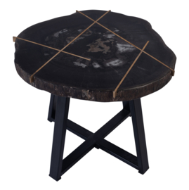 Tay Petrified wood black coffeetable metal low