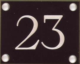 Gravoglas nummerplaat art nr. 4601