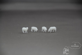 4 Schapen