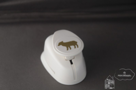 Medium pons schaap