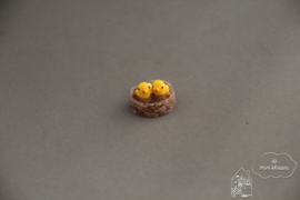 Kuikentjes in nest