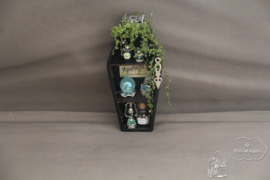 Halloween kast blauw