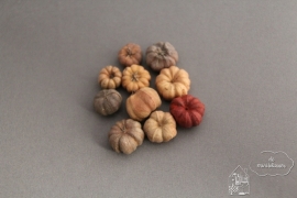 Pompoenen